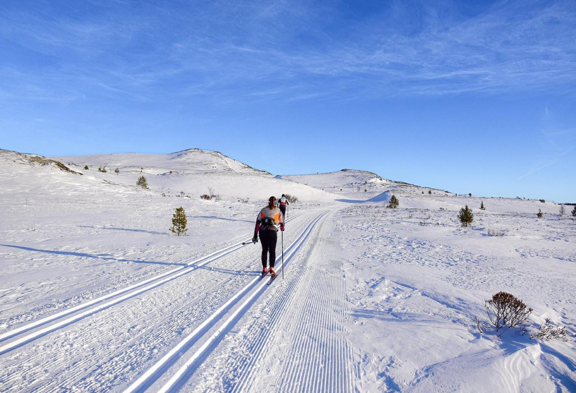 Rondane Haukliseter Fjellhotell Høvringen Exterior foto